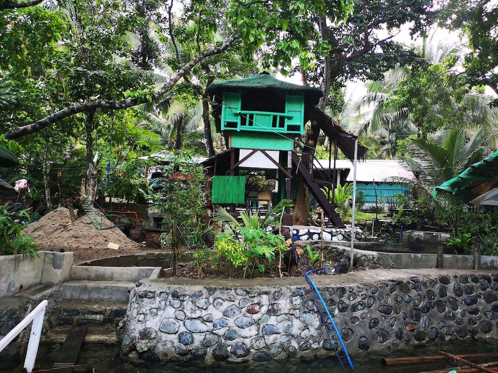 Nature Green Forest Resort in Baler, Philippines