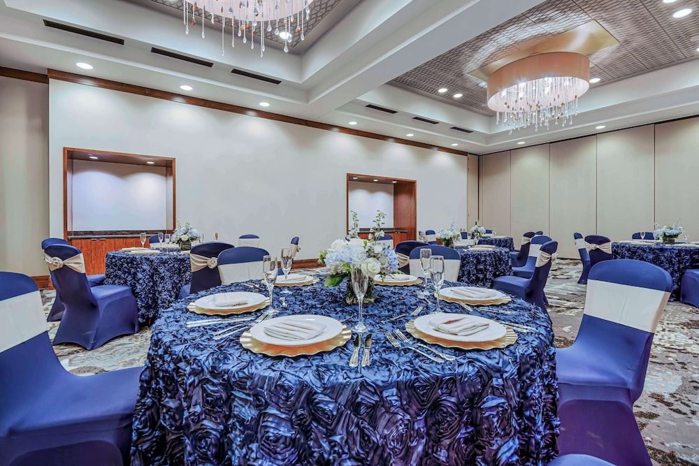 Embassy Suites Houston Downtown - photo 45