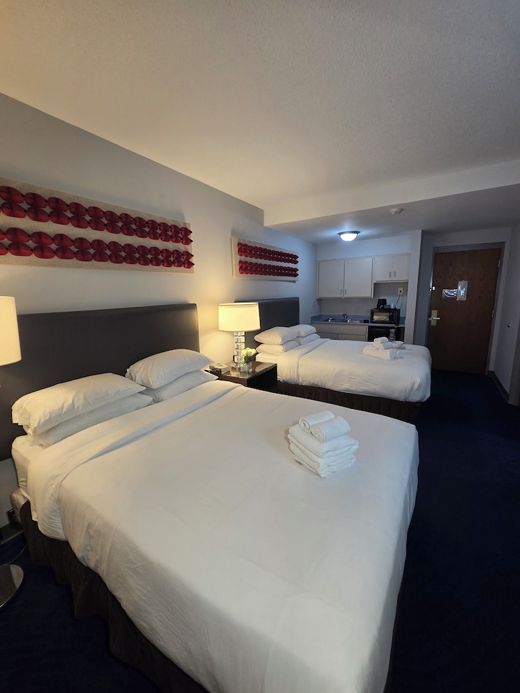 Illini Inn & Suites Hotel Rantoul Gifford Champaign Urbana - photo 6