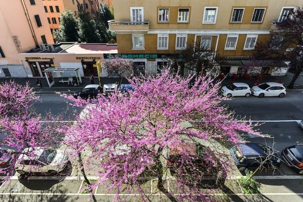 Chateau Al Gianicolo - last minute hotel in Rome