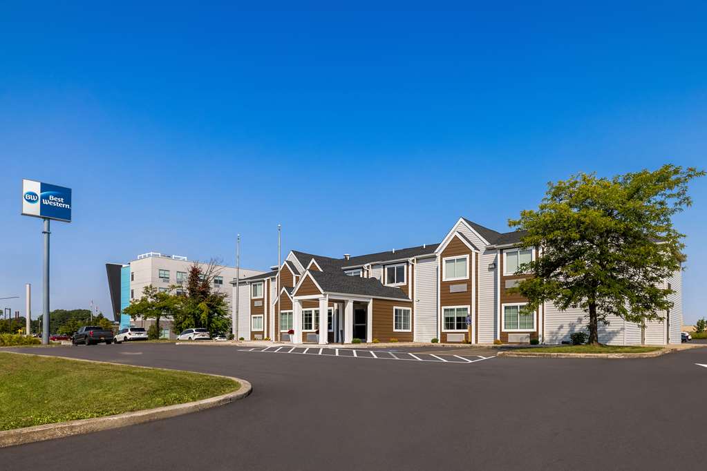 Best Western Buffalo Inn Suites - photo 22