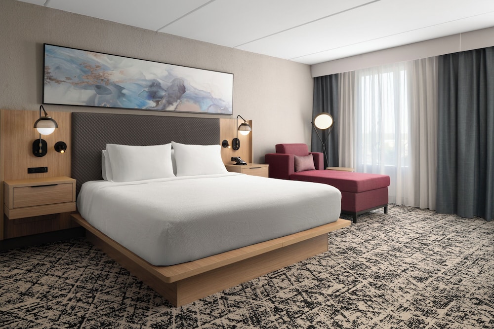 Hilton Garden Inn Washington DC Greenbelt - photo 7