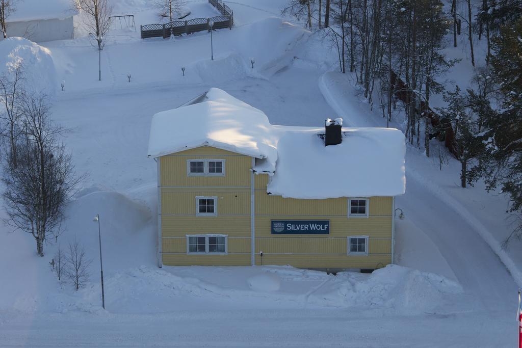Silver Wolf — Arjeplog — photo 3