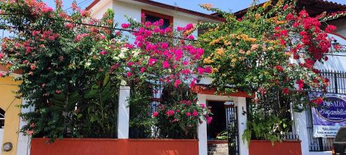 Posada Bugambilias - carbon neutral hotel in Catemaco