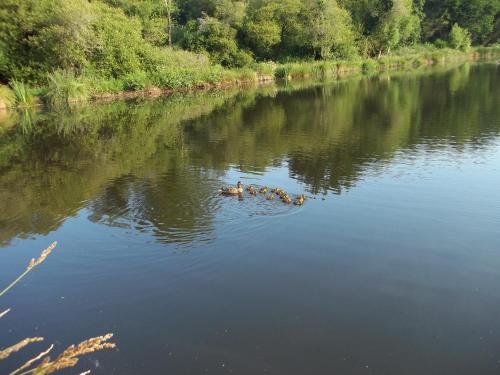 Au Moulin De Callac in Plumelec, France