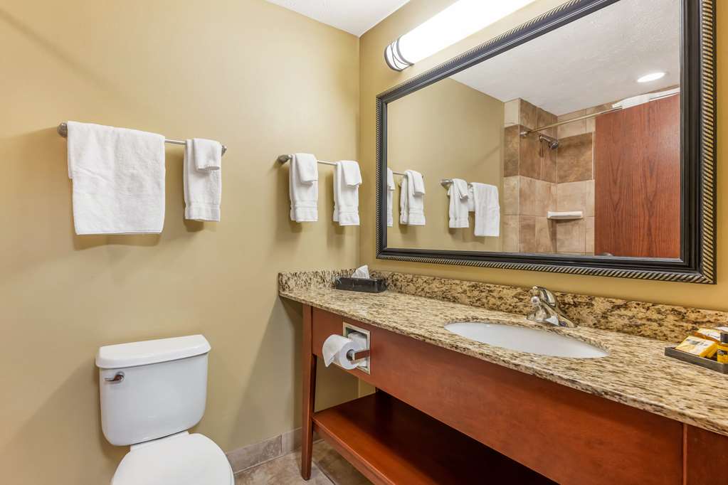 Best Western Plus Grand Island Inn & Suites - photo 18