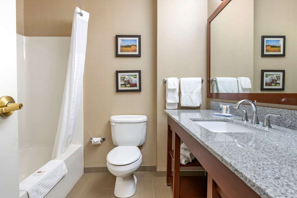 Comfort Inn & Suites Northern Kentucky - photo 9