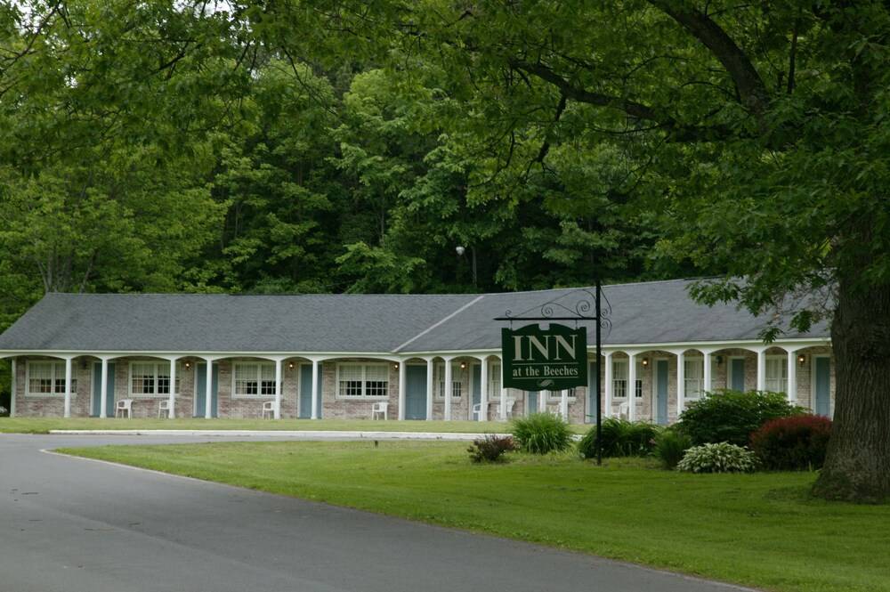 Inn At The Beeches - photo 6