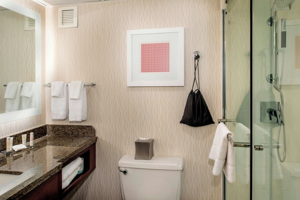 Marriott St. Louis Airport - photo 37