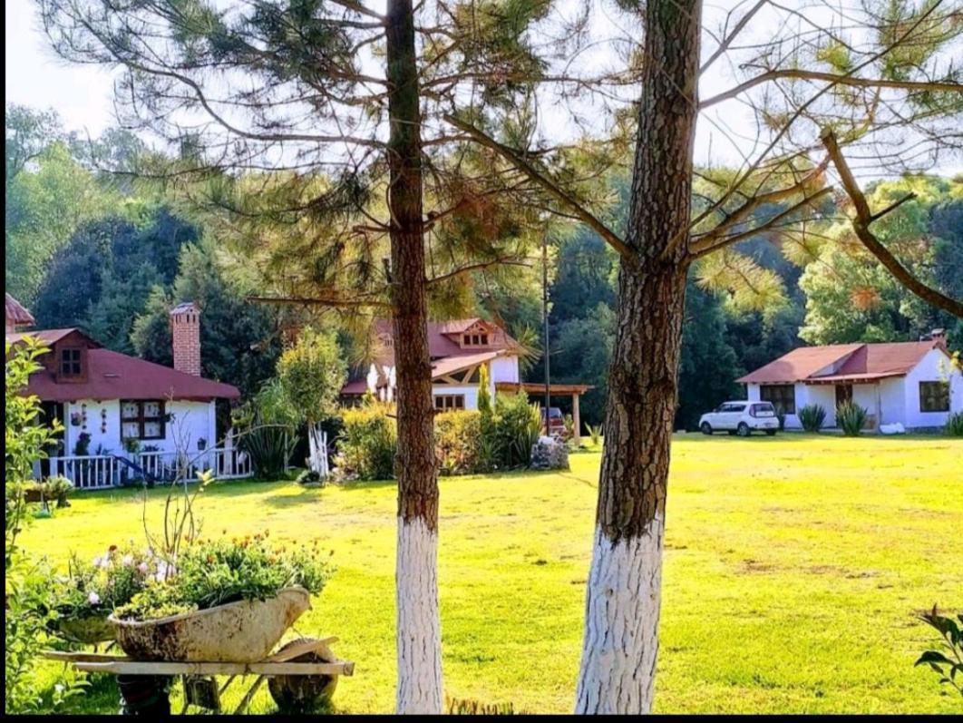 Cabañas los cactus 2 — 4-Star Luxury Hotel in Huasca De Ocampo, Mexico