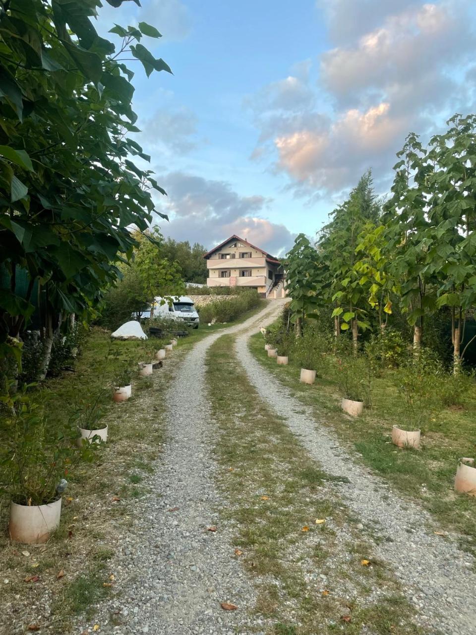 Casuta Magica pet-friendly hotel Pausesti-Maglasi