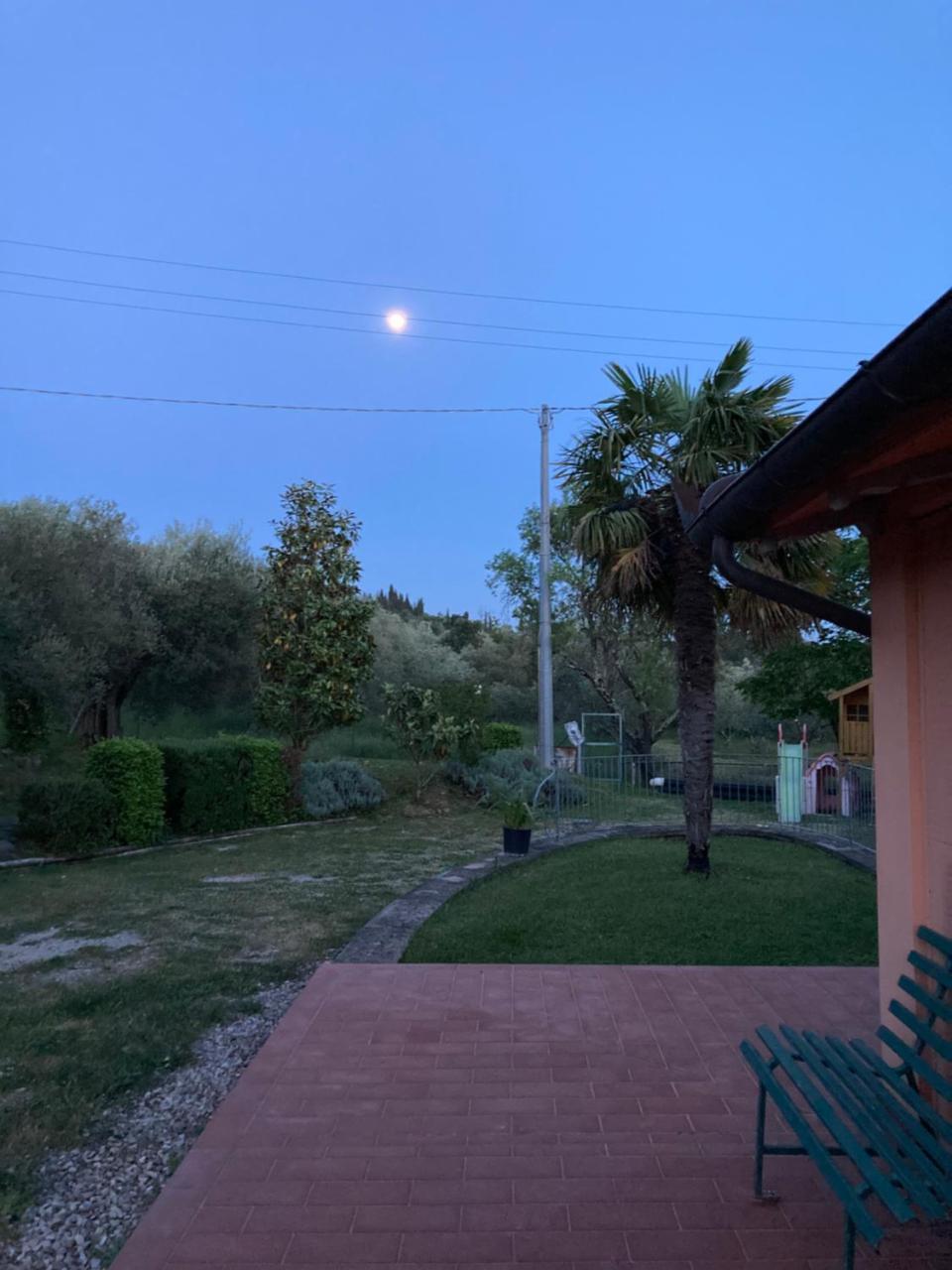Le Coccole Del Trasimeno — Tuoro Sul Trasimeno — photo 3
