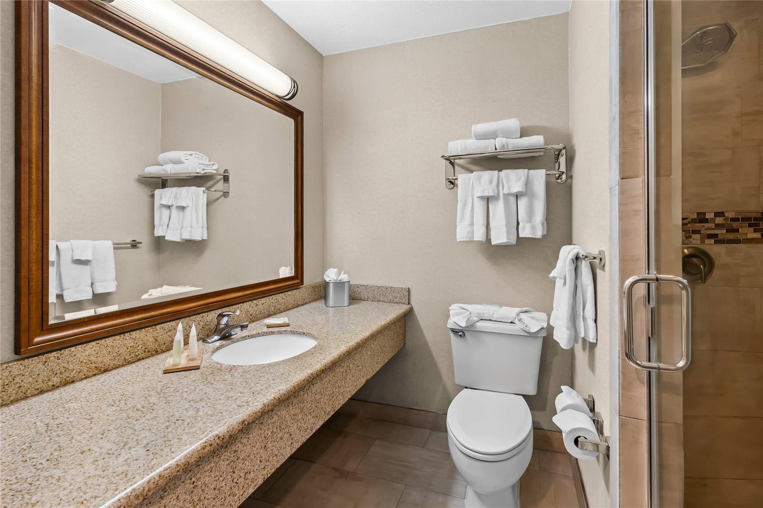 Radisson Hotel Salt Lake City Airport - photo 55