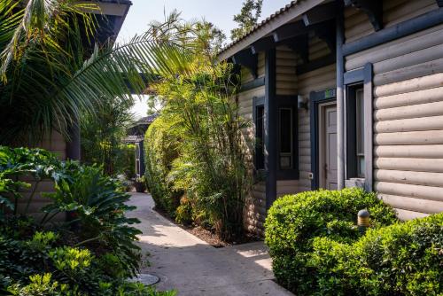 Etnachta Kibbutz Afik in Unknown City, Israel