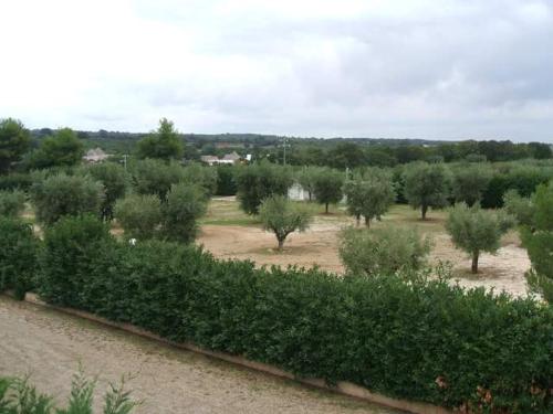Locazione turistica Green Park in Martina Franca, Italy