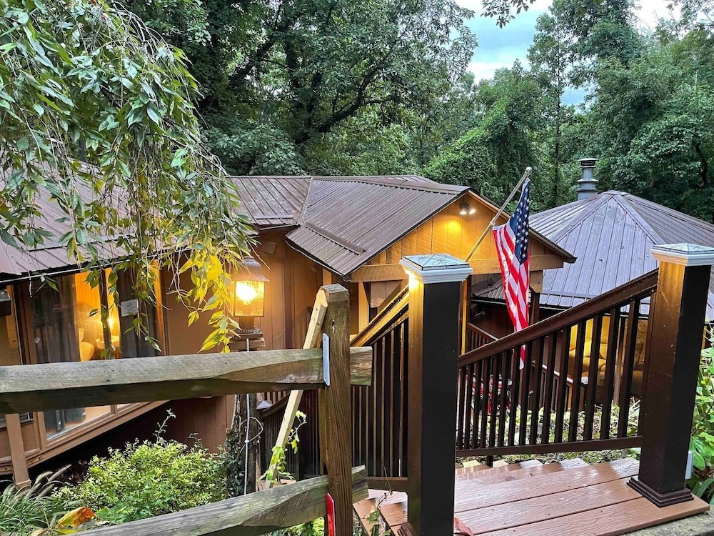 Treetops in Town in Charleston, United States