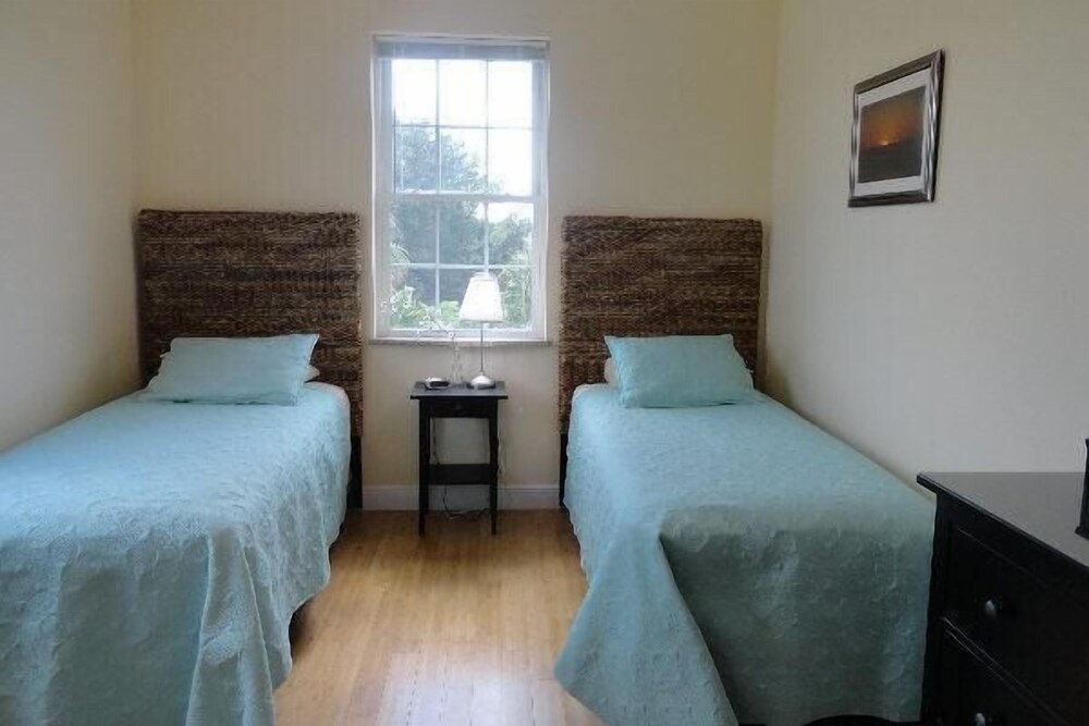 Sand Dollar - photo 5