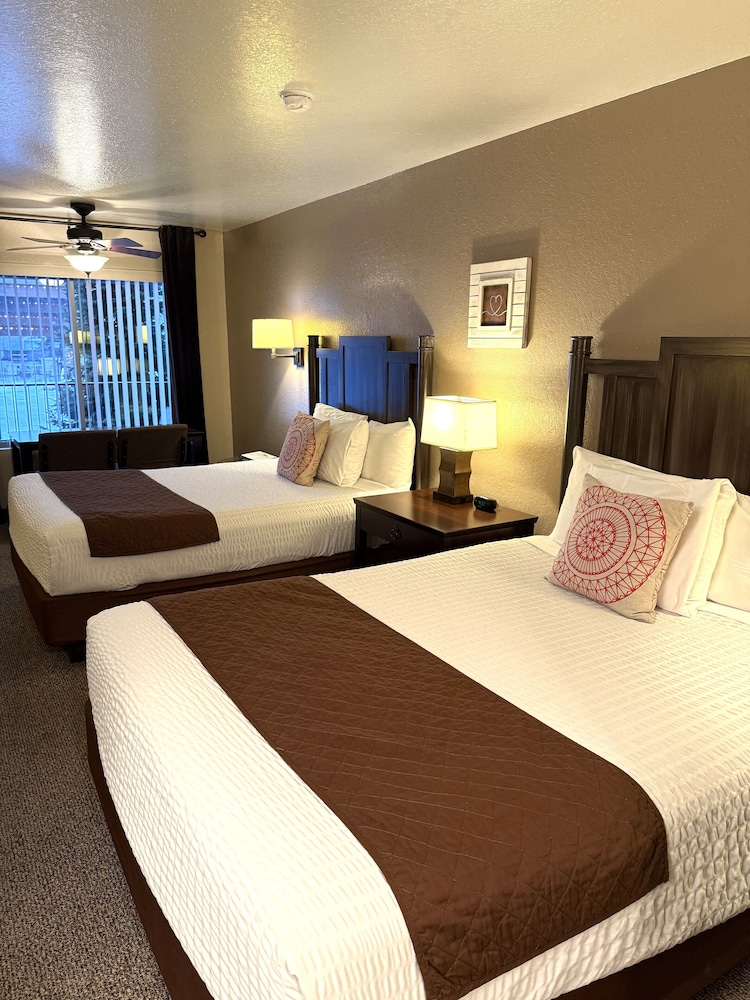 Mountain View Lodge - photo 10