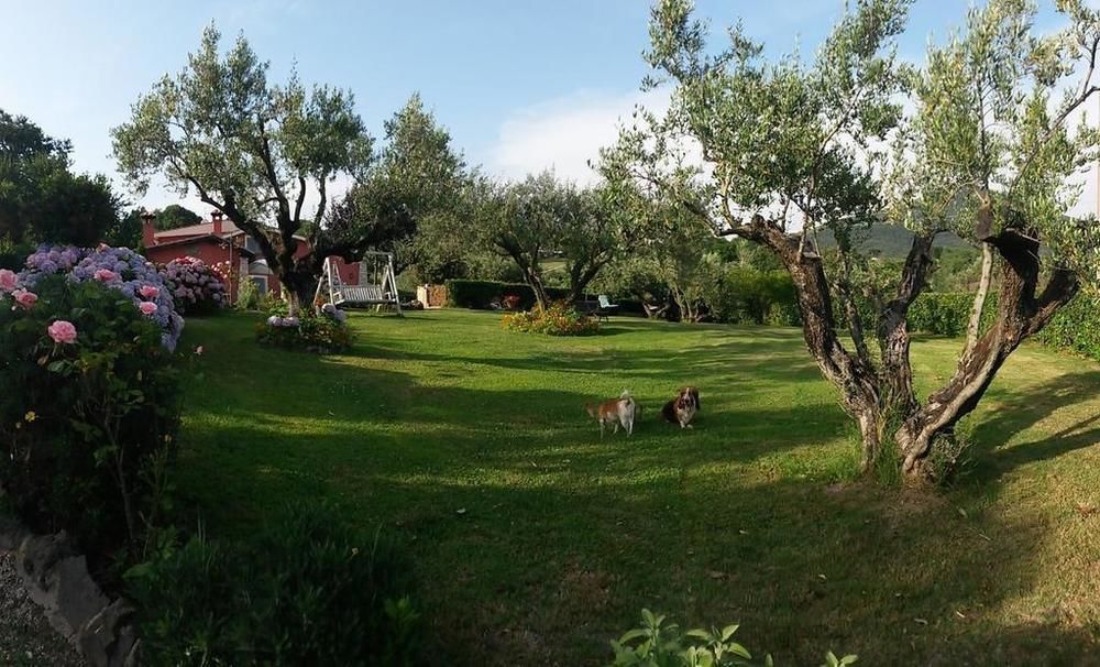 Il Poggio degli Ulivi in Bracciano, Italy