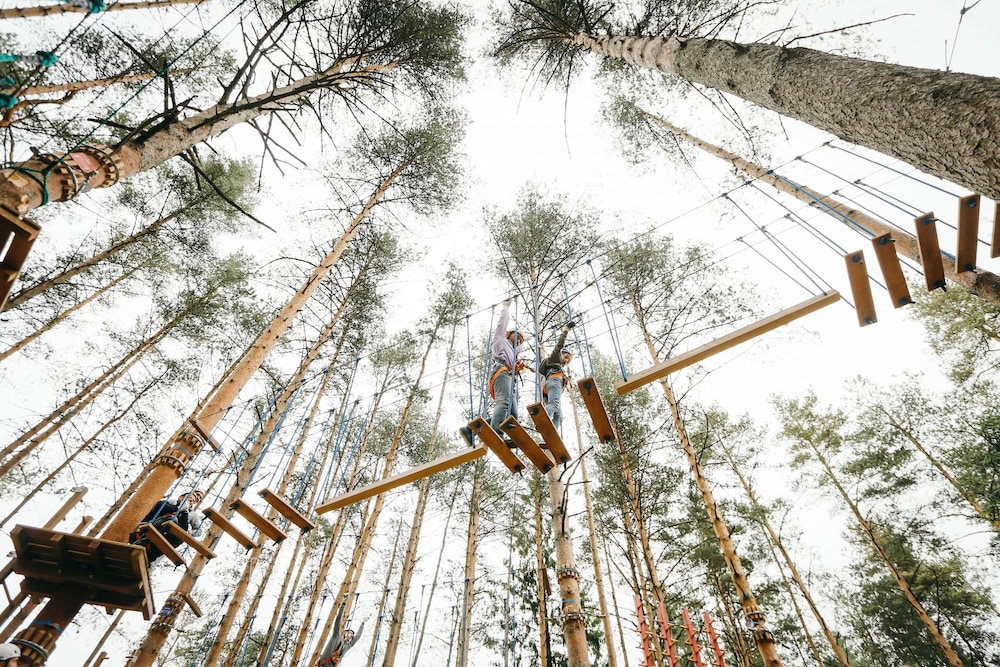 Okhta Park — Vsevolozhsk — photo 4
