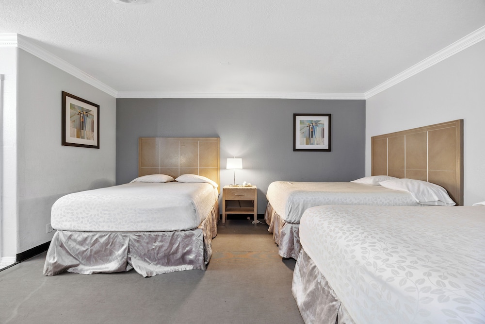 Americas Best Value Inn Milpitas Silicon Valley - photo 9