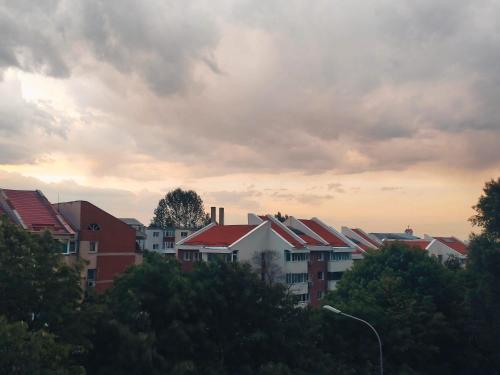 Chez Marcel la Briza Dunării in Tulcea, Romania