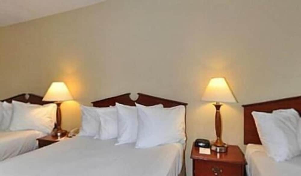 Gold Leaf Hotel of Dewey Rehoboth Beach - photo 22