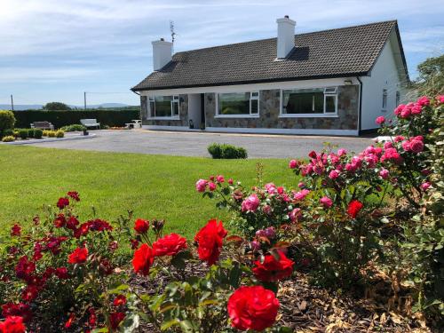 Park South Bed and Breakfast — 4-Star Luxury Hotel in Mallow, Republic of Ireland