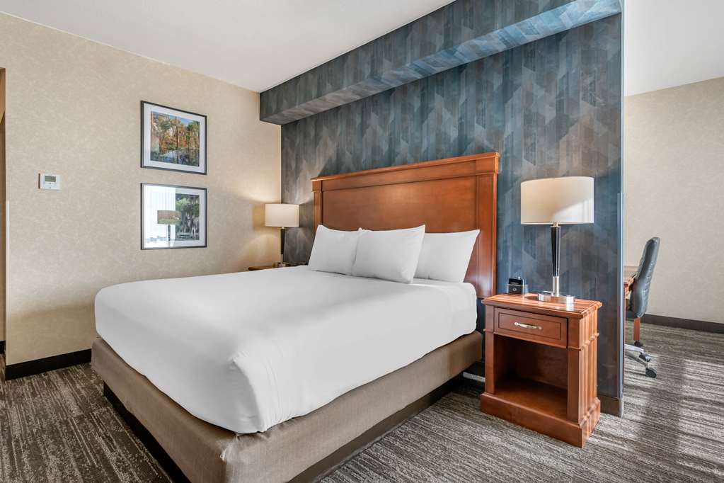 Drury Plaza Hotel Valdosta - photo 25