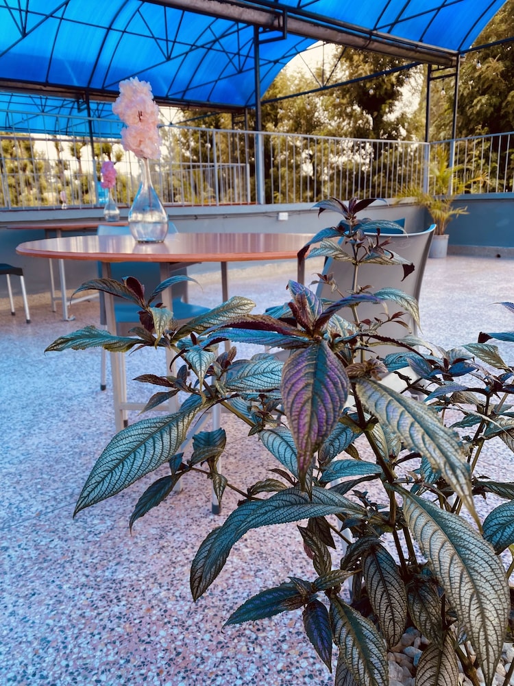 Dad’s Place in Nanyuki, Kenya