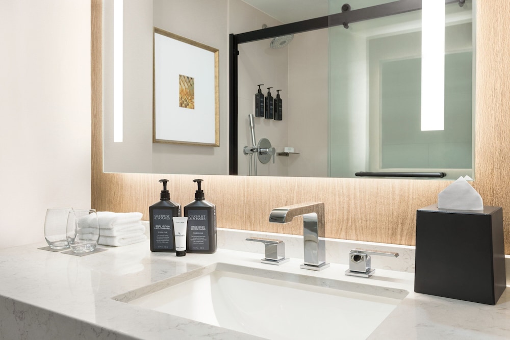 Sheraton Suites Chicago O'Hare - photo 37