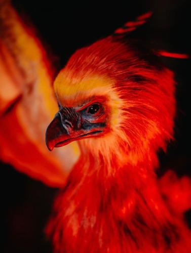 Sorcier Magique & Experience Immersive in Caen, France