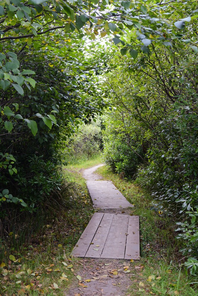 Surfcrest Resort - photo 47
