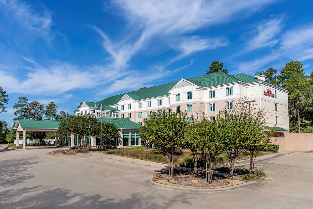 Hilton Garden Inn Houston The Woodlands - featured photo