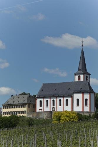 Hotel Viola — hotel in Hochheim Am Main