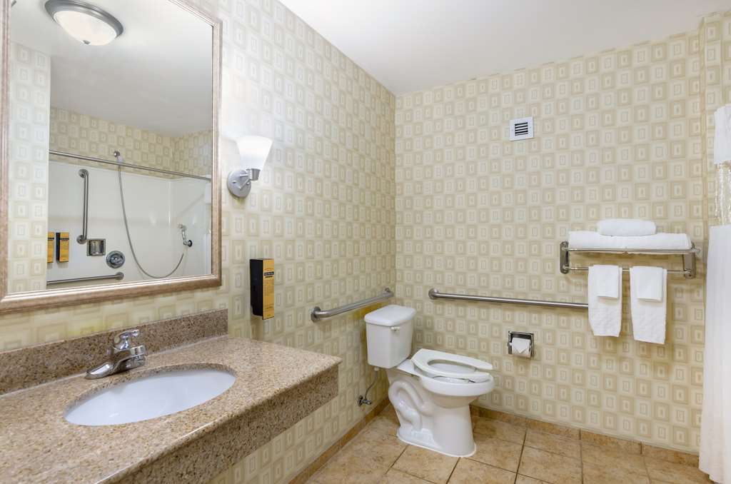 Best Western Plus Waynesboro Inn & Suites Conference Center - photo 36