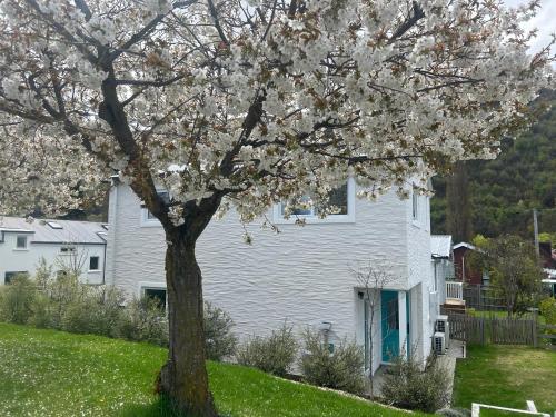 The Apartment at Arrowtown — 4-Star Luxury Hotel in Arrowtown, New Zealand