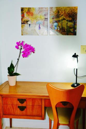 Sea Turtle Inn - photo 37