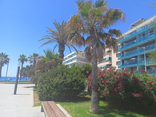 Vista Del Mar - last minute hotel in Torrevieja