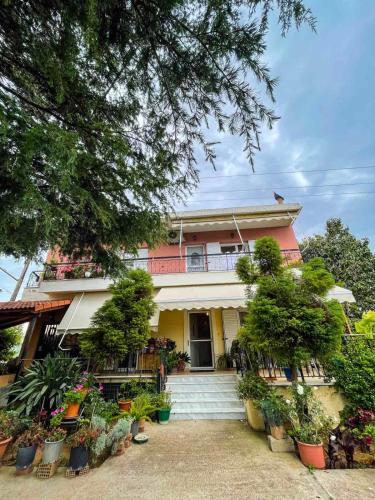 Lucky's House — 4-Star Luxury Hotel in Preveza, Greece