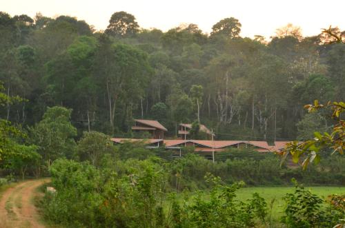 Estate Stay Riverside Coffee — Siddapur — photo 3