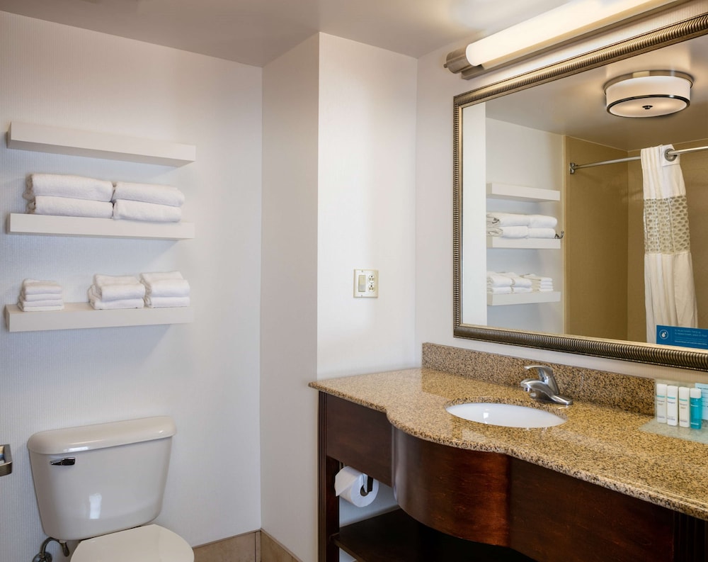 Hampton Inn & Suites Toledo Perrysburg - photo 29