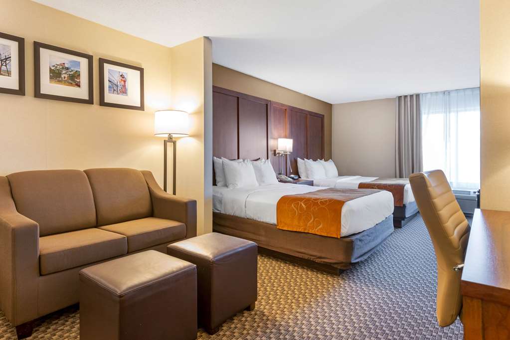 Comfort Suites South Haven near I 96 - photo 12