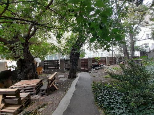 Eka's home with a beautiful garden