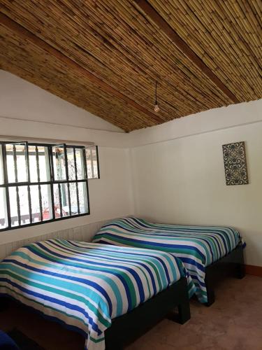 Hacienda Gonzabal — Loja — photo 4