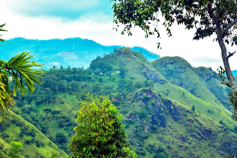 Ella Nimal Nest Inn in Ella Town, Sri Lanka