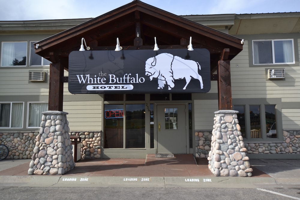 White Buffalo in West Yellowstone, United States