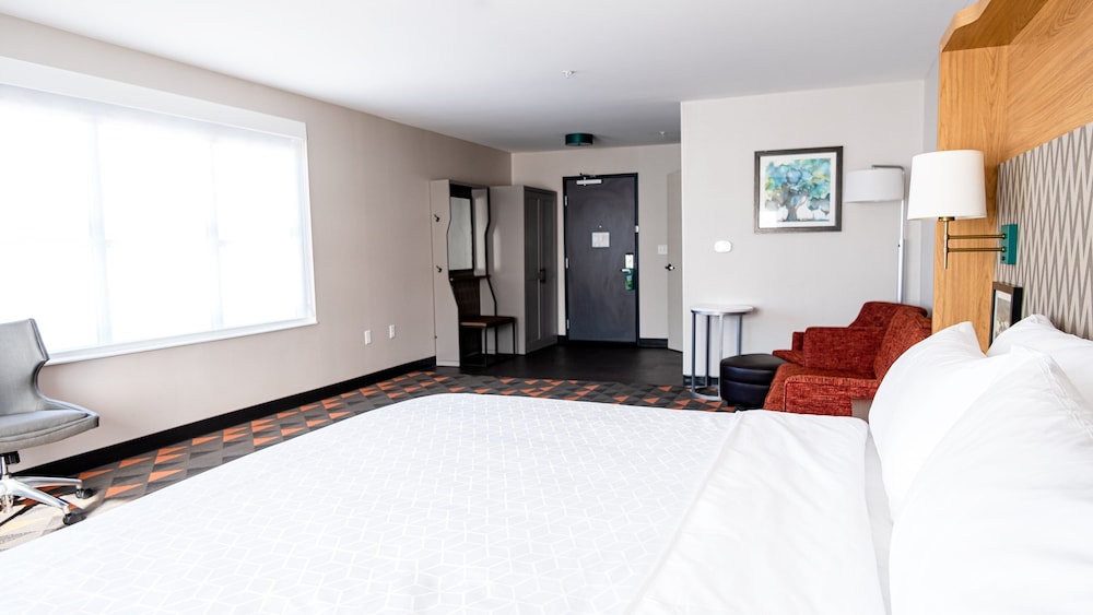 Holiday Inn and Suites Philadelphia W Drexel Hill - photo 16
