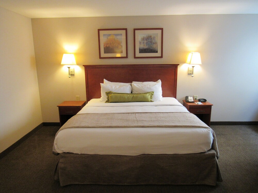 Candlewood Suites Murfreesboro an IHG Hotel - featured photo