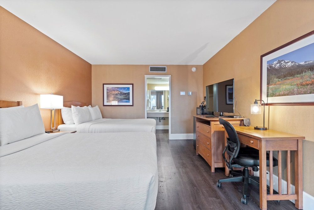 Vagabond Inn Executive San Francisco Airport - photo 13